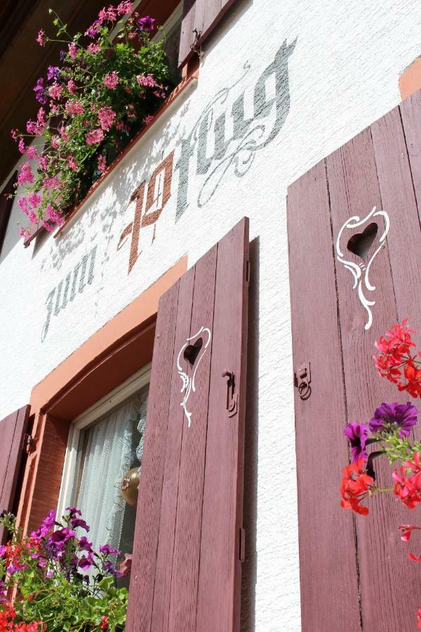 Hotel Landgasthof Zum Pflug Kleines Wiesental Extérieur photo
