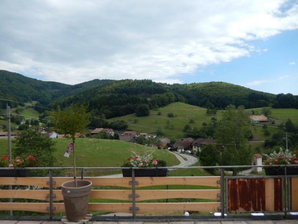 Hotel Landgasthof Zum Pflug Kleines Wiesental Extérieur photo